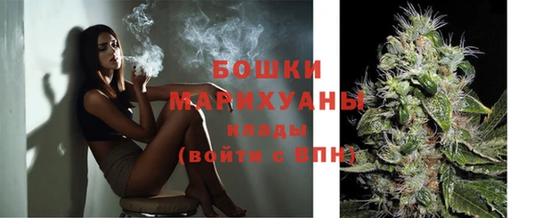 PSILOCYBIN Абаза