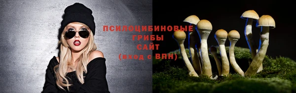 бошки Сафоново