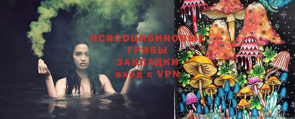 apvp Абинск