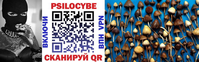 Псилоцибиновые грибы Magic Shrooms Кинешма