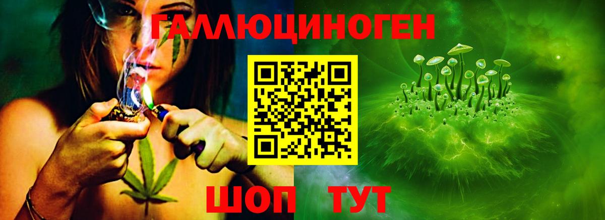 Галлюциногенные грибы ЛСД  Вход с VPN  Кинешма  Галлюциногенные грибы Magic Shrooms 