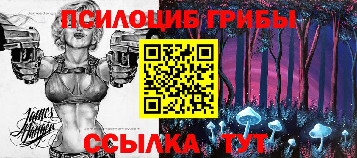 Галлюциногенные грибы Cubensis Кинешма
